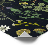 Wildflowers collage ポスター (角)