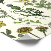 Wildflowers collage ポスター (角)