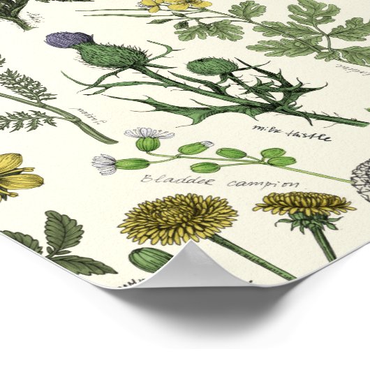 Wildflowers collage ポスター (角)