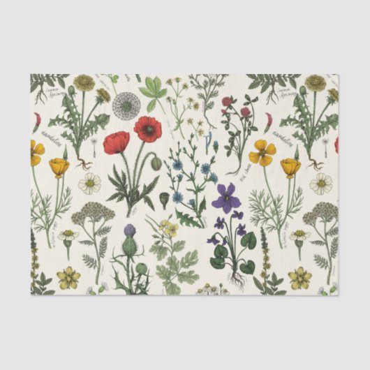 Wildflowers collage 薄葉紙 (正面)