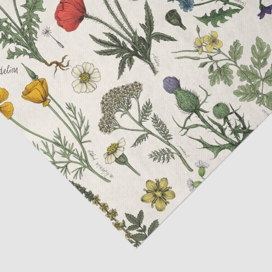 Wildflowers collage 薄葉紙 (詳細)