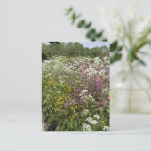 Wildflowers in a Hedgerow Herefordshire England ポストカード (スタンド正面)