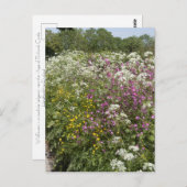 Wildflowers in a Hedgerow Herefordshire England ポストカード (正面/裏面)