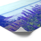 Wildflowers Maine Lupine Flowersポスター ポスター (角)