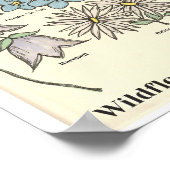 Wildflowers of Michigan Hand Drawn Art Print ポスター (角)