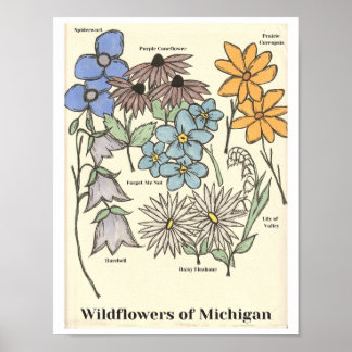 Wildflowers of Michigan Hand Drawn Art Print ポスター