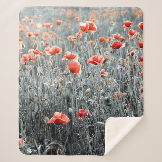 Wildflowers poppies シェルパブランケット (正面)