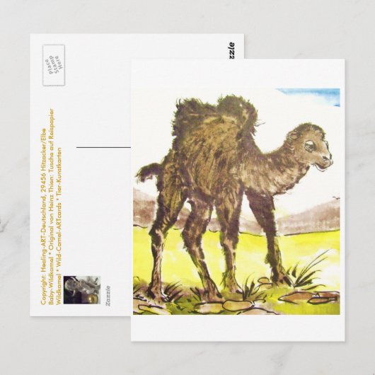 Wildkamel、Wild Camel、Tierkunst、Animal-ARTcard ポストカード (正面/裏面)