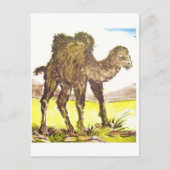 Wildkamel、Wild Camel、Tierkunst、Animal-ARTcard ポストカード (正面)