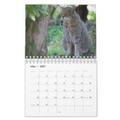 Wildkatzen. カレンダー (3月 2027)