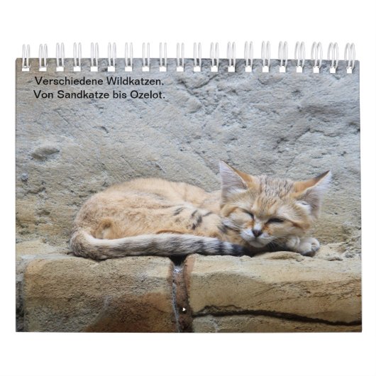 Wildkatzen. カレンダー (カバー)