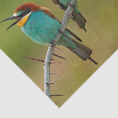 Wildlife カラフル Bee Eaterの写真 薄葉紙 (詳細)