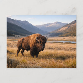 Wildlife American Bison Mountain Landscape ポストカード