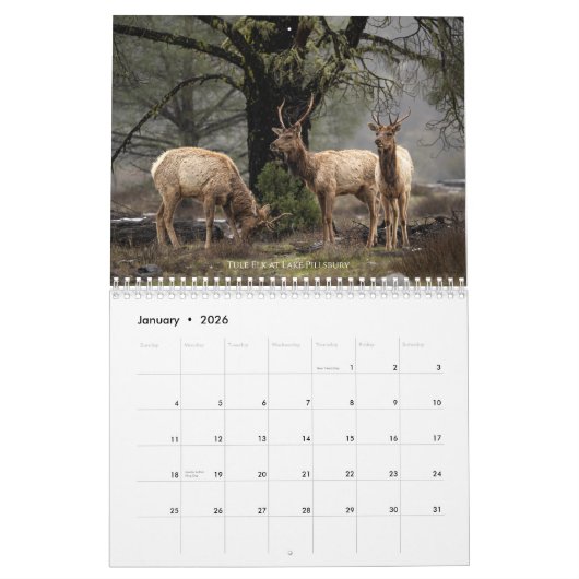 Wildlife and Landscape Calendar カレンダー (1月 2026)