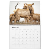 Wildlife and Landscape Calendar カレンダー (3月 2027)