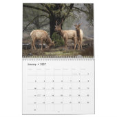 Wildlife and Landscape Calendar カレンダー (1月 2027)