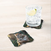  Wildlife Animal Coaster, Safari Home Decor. ペーパーコースター (インサイチュ)