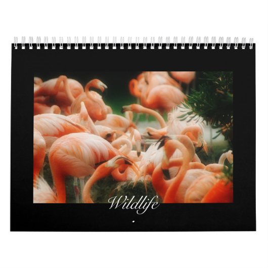 Wildlife Calendar カレンダー (カバー)