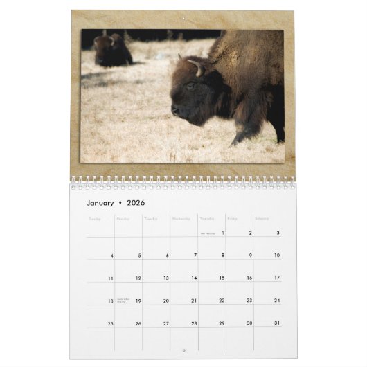 Wildlife Calendar カレンダー (1月 2026)