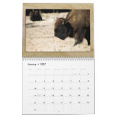 Wildlife Calendar カレンダー (1月 2027)