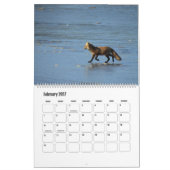 Wildlife Calendar, Red Foxes カレンダー (2月 2027)