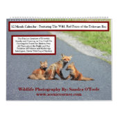 Wildlife Calendar, Red Foxes カレンダー (カバー)
