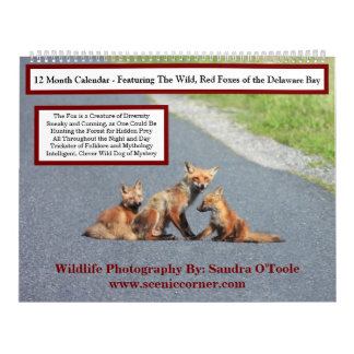 Wildlife Calendar, Red Foxes カレンダー