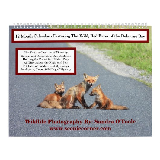 Wildlife Calendar, Red Foxes カレンダー (カバー)