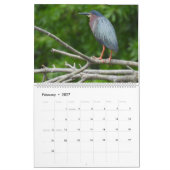 Wildlife Calendar, Waterbirds, Herons カレンダー (2月 2027)