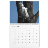 Wildlife Calendar, Waterbirds, Herons カレンダー (1月 2026)