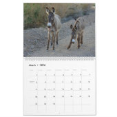 Wildlife Calendar, wild donkeys, burros, desert カレンダー (3月 2026)