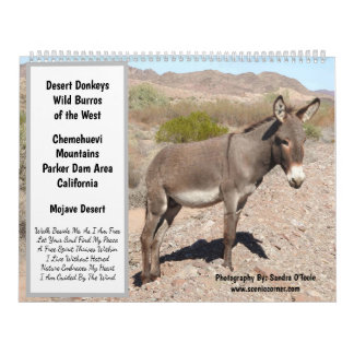 Wildlife Calendar, wild donkeys, burros, desert カレンダー