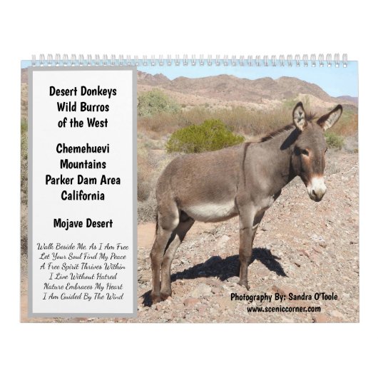 Wildlife Calendar, wild donkeys, burros, desert カレンダー (カバー)