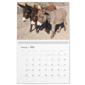 Wildlife Calendar, wild donkeys, burros, desert カレンダー (1月 2026)