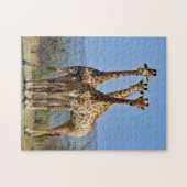 Wildlife Giraffe Herd Photo ジグソーパズル (横)