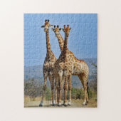 Wildlife Giraffe Herd Photo ジグソーパズル (縦)