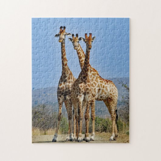 Wildlife Giraffe Herd Photo ジグソーパズル (縦)