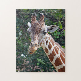 Wildlife Giraffe Photo ジグソーパズル
