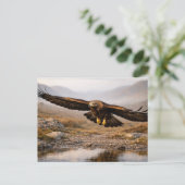 Wildlife Golden Eagle Scottish Highlands ポストカード (スタンド正面)