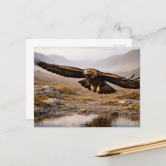 Wildlife Golden Eagle Scottish Highlands ポストカード (正面/裏面インサイチュ)