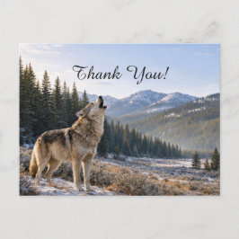 Wildlife Howling Gray Wolf Scene Thank You ポストカード
