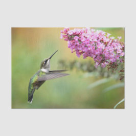 Wildlife Hummingbirdフローラ写真 薄葉紙
