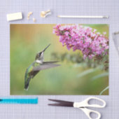 Wildlife Hummingbirdフローラ写真 薄葉紙 (クラフト)