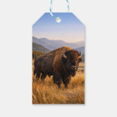 Wildlife Landscape American Bison ギフトタグ (裏面)