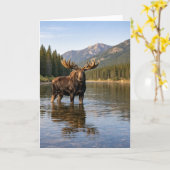 Wildlife Moose Mountain River  カード (黄色い花)