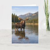 Wildlife Moose Mountain River カード (正面)