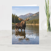 Wildlife Moose Mountain River Birthday カード (正面)
