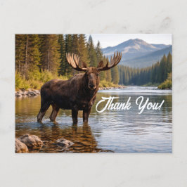 Wildlife Moose Wilderness River Thank You ポストカード