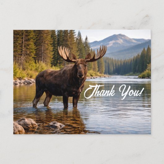 Wildlife Moose Wilderness River Thank You ポストカード (正面)