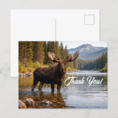 Wildlife Moose Wilderness River Thank You ポストカード (正面/裏面)